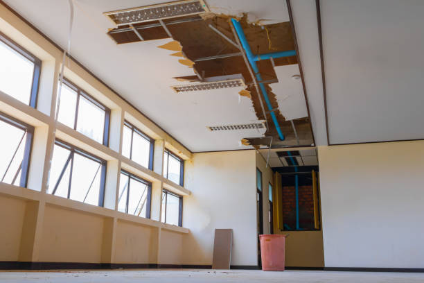 Best Carpet water damage restoration  in Twain Harte, CA