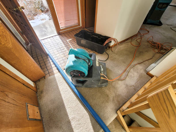 Best Professional water damage repair  in Twain Harte, CA
