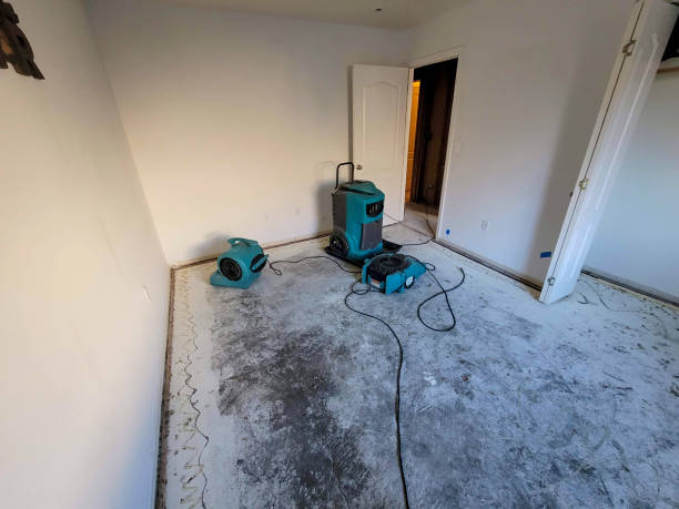  Twain Harte, CA Water damage restoration Pros