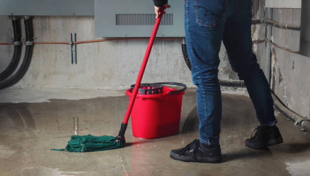 Best Water damage restoration near me  in Twain Harte, CA