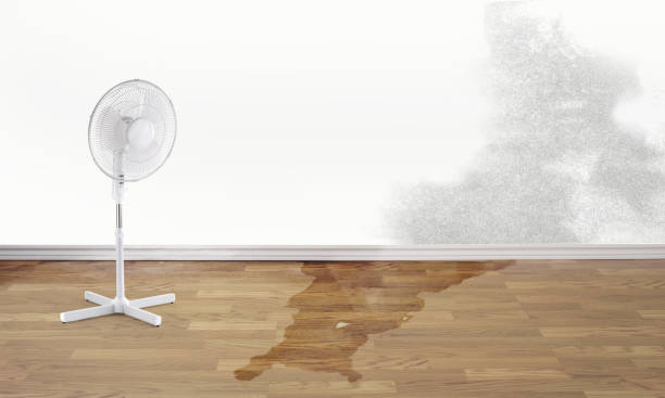 Best Residential water damage restoration  in Twain Harte, CA