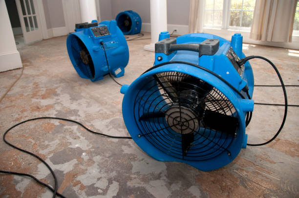 Best Water damage cleanup near me  in Twain Harte, CA
