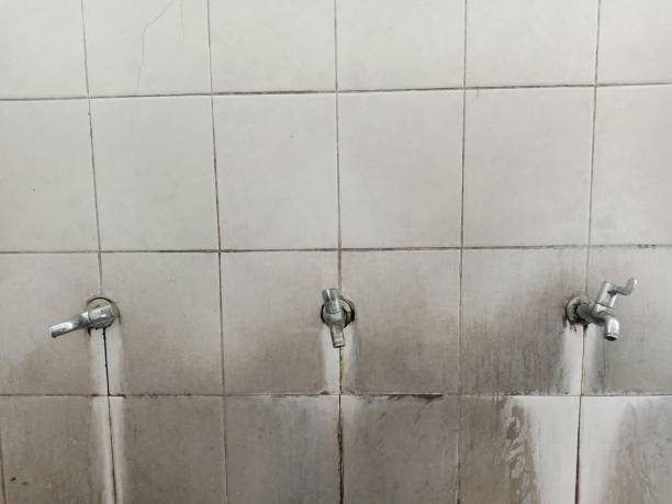 Best Water damage contractors near me  in Twain Harte, CA