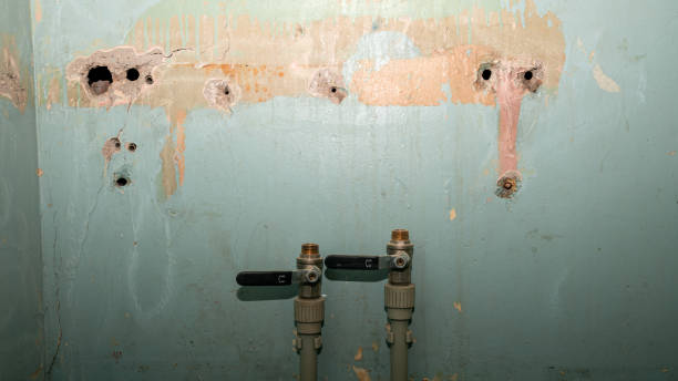 Best Flood damage cleanup  in Twain Harte, CA