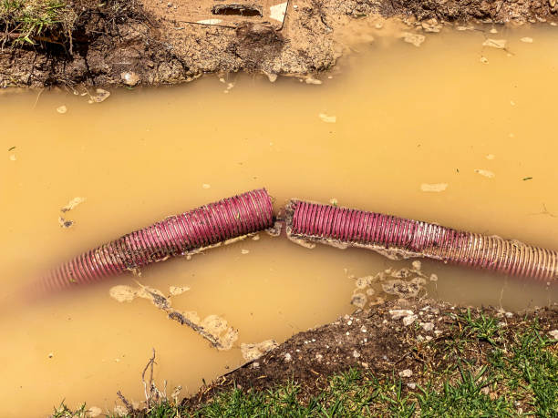 Best Local water damage restoration  in Twain Harte, CA